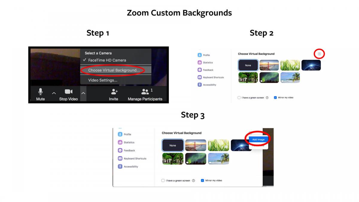 SPHTM Zoom Backgrounds Celia Scott Weatherhead School of Public
